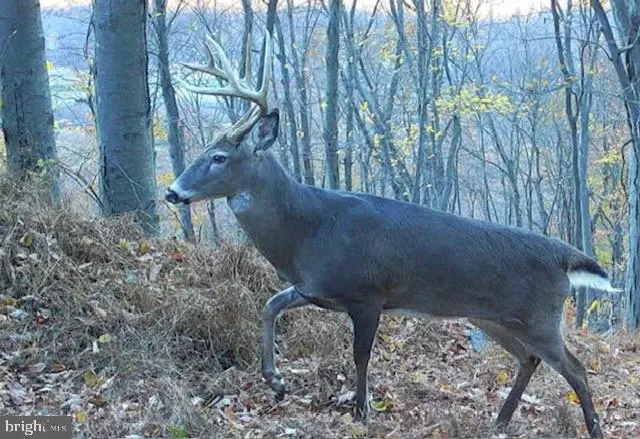 $1,895,000 | 1800 Longview Drive, Lewistown, PA 17044