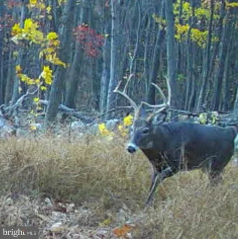 $1,895,000 | 1800 Longview Drive, Lewistown, PA 17044