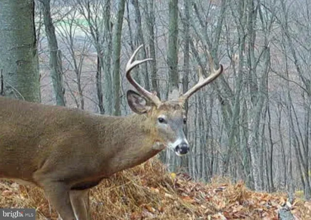 $1,895,000 | 1800 Longview Drive, Lewistown, PA 17044