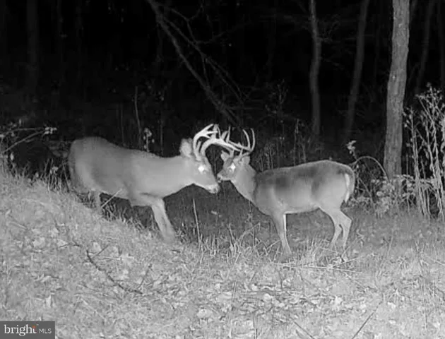 $1,895,000 | 1800 Longview Drive, Lewistown, PA 17044