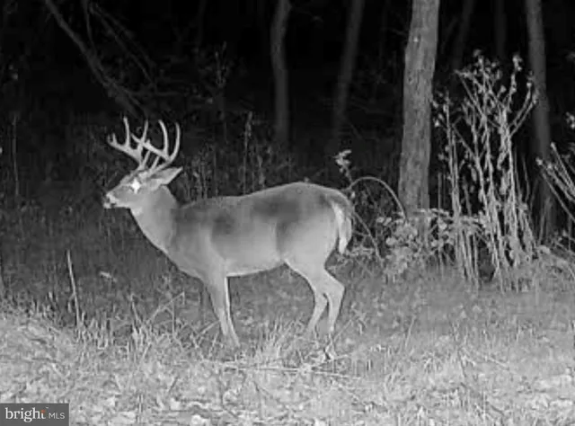 $1,895,000 | 1800 Longview Drive, Lewistown, PA 17044