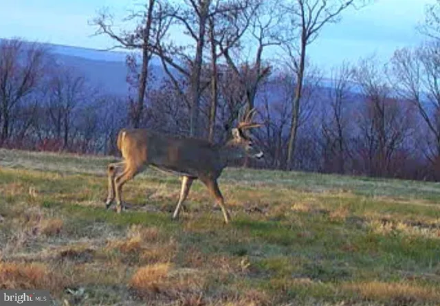 $1,895,000 | 1800 Longview Drive, Lewistown, PA 17044