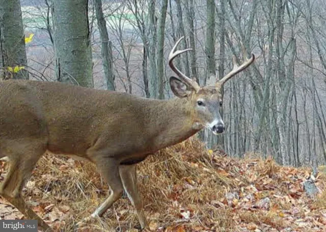 $1,895,000 | 1800 Longview Drive, Lewistown, PA 17044