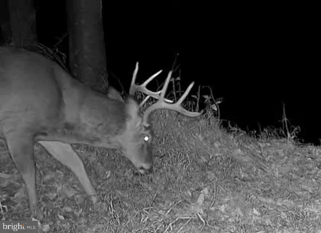 $1,895,000 | 1800 Longview Drive, Lewistown, PA 17044