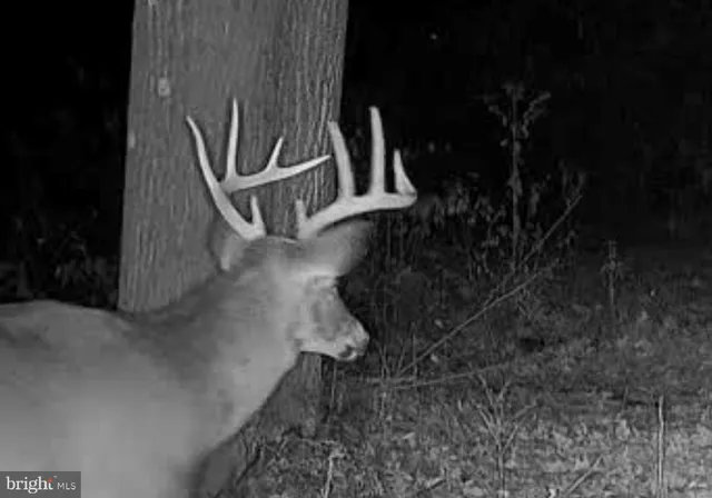 $1,895,000 | 1800 Longview Drive, Lewistown, PA 17044