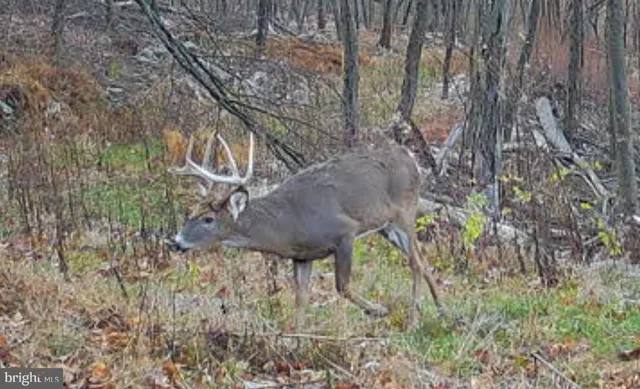 $1,895,000 | 1800 Longview Drive, Lewistown, PA 17044