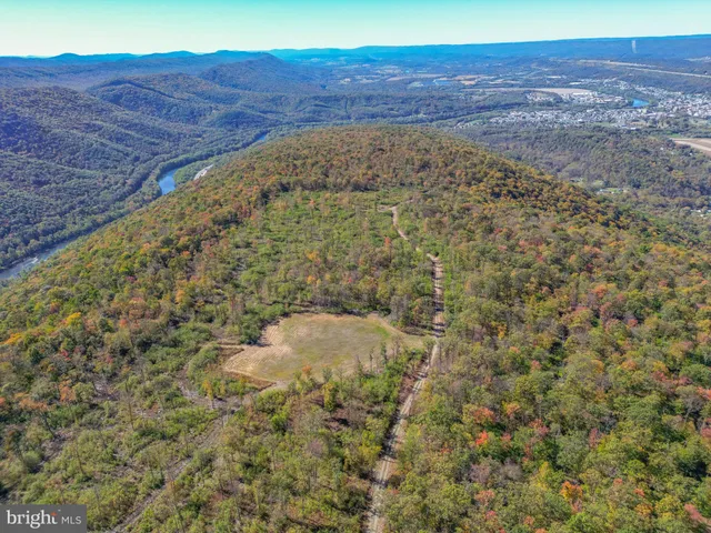 a view of a yard with an ocean beach