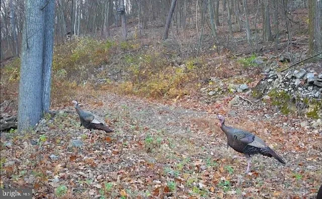 $1,895,000 | 1800 Longview Drive, Lewistown, PA 17044