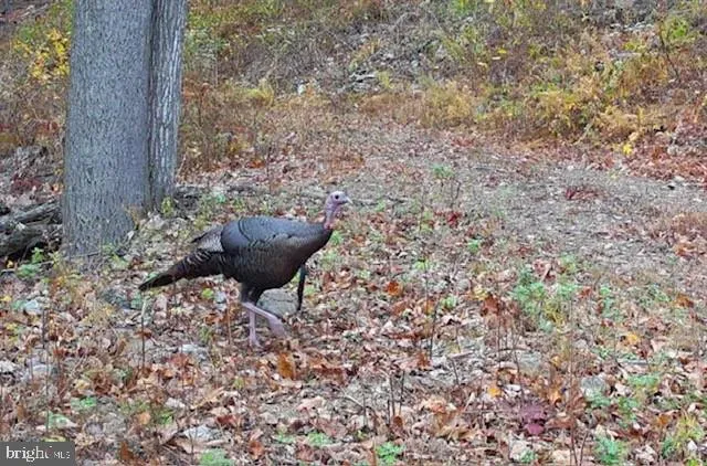 $1,895,000 | 1800 Longview Drive, Lewistown, PA 17044