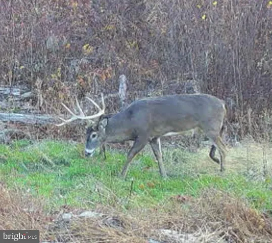 $1,895,000 | 1800 Longview Drive, Lewistown, PA 17044