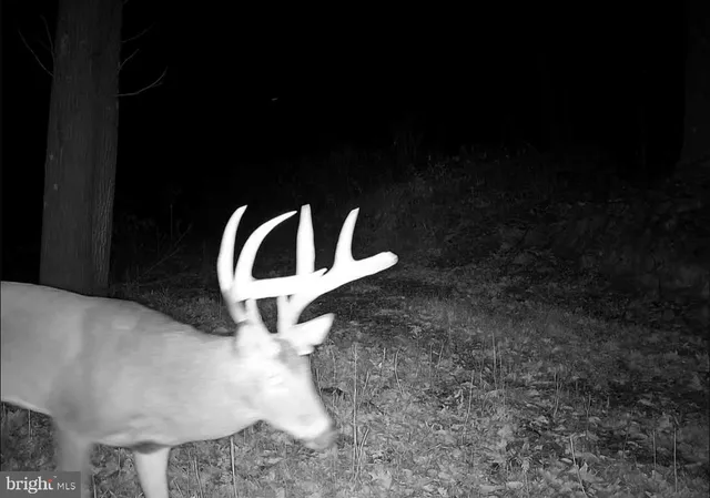 $1,895,000 | 1800 Longview Drive, Lewistown, PA 17044