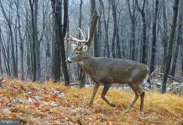 $1,895,000 | 1800 Longview Drive, Lewistown, PA 17044