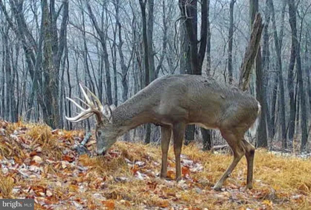 $1,895,000 | 1800 Longview Drive, Lewistown, PA 17044