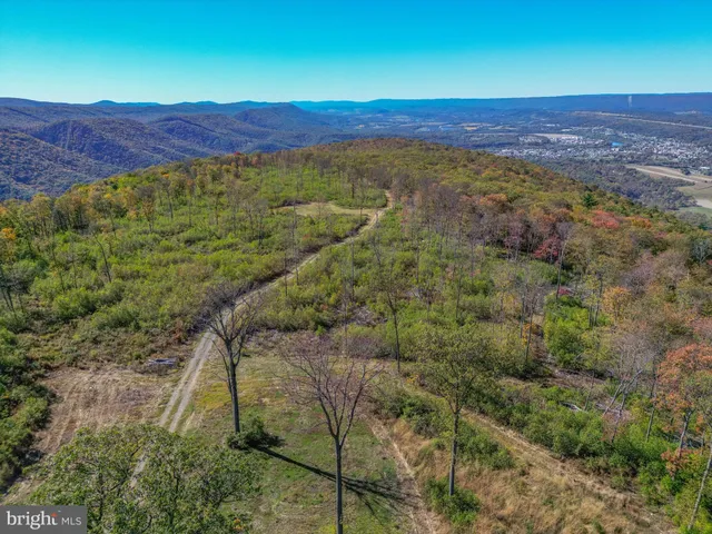a view of a garden with a bench