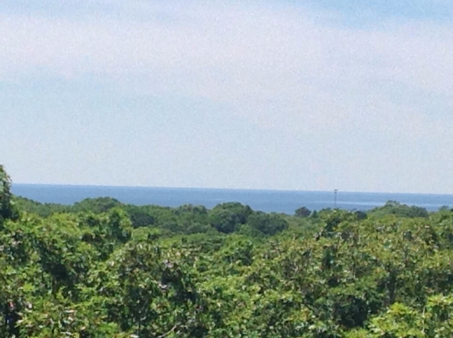26 Whippoorwill Road Chilmark, MA 02535 - Photo 4 of 20 Gallery Image 4