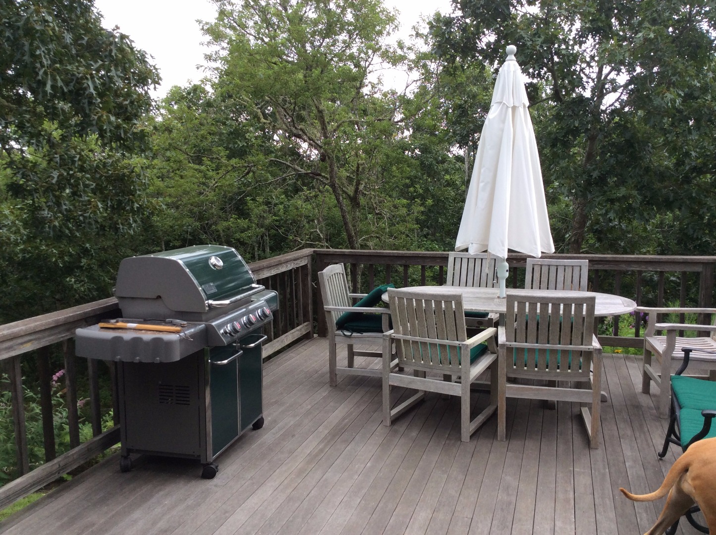 26 Whippoorwill Road Chilmark, MA 02535 - Photo 5 of 20 Gallery Image 5