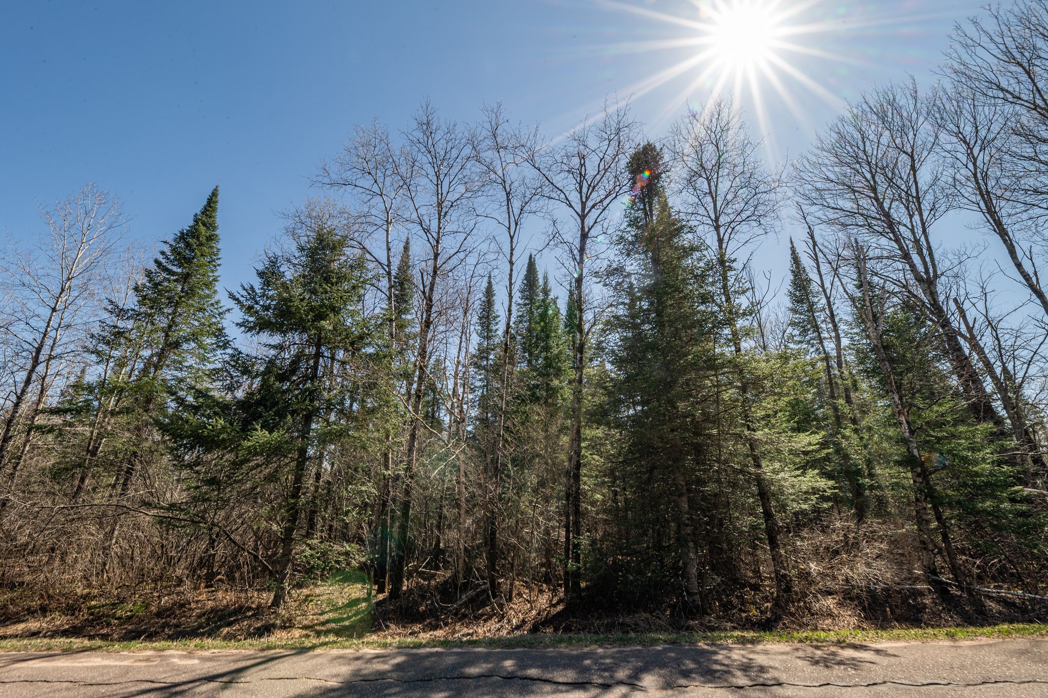 0 Clover Road South Winter, WI 54896 - Photo 6 of 20