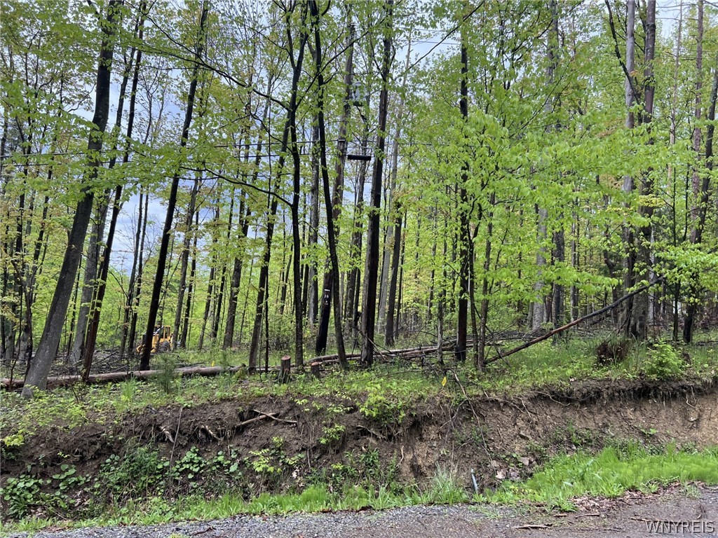 Vl #3 Liebler Road Boston, NY 14025 - Photo 1 of 4