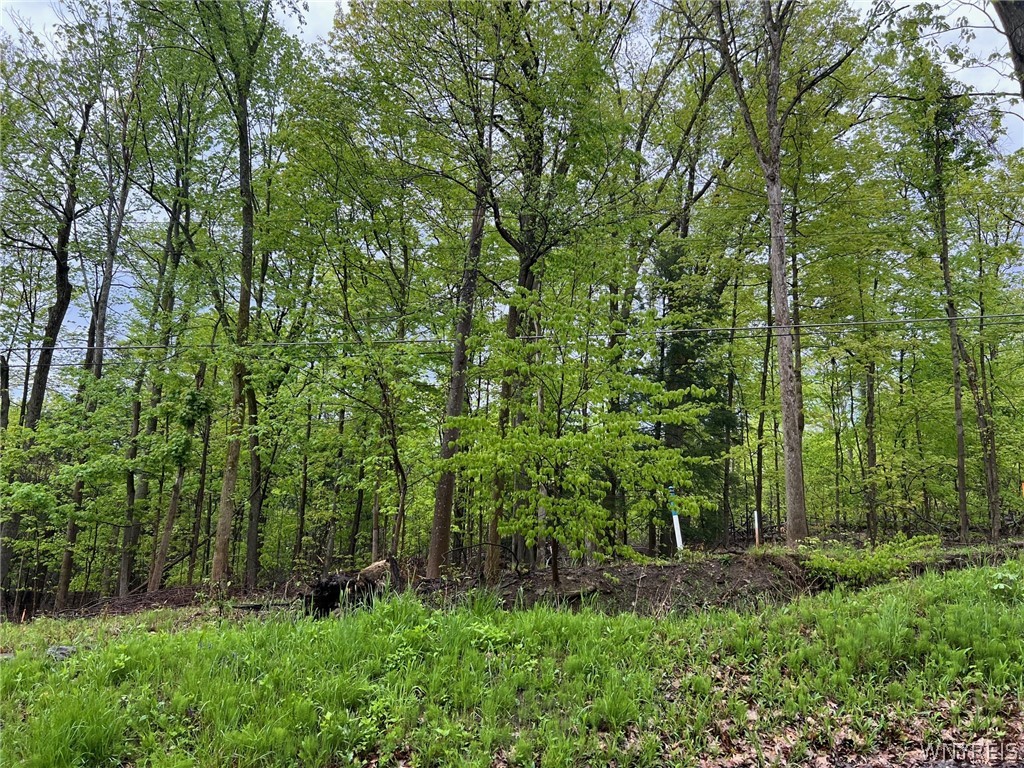 Vl #3 Liebler Road Boston, NY 14025 - Photo 2 of 4