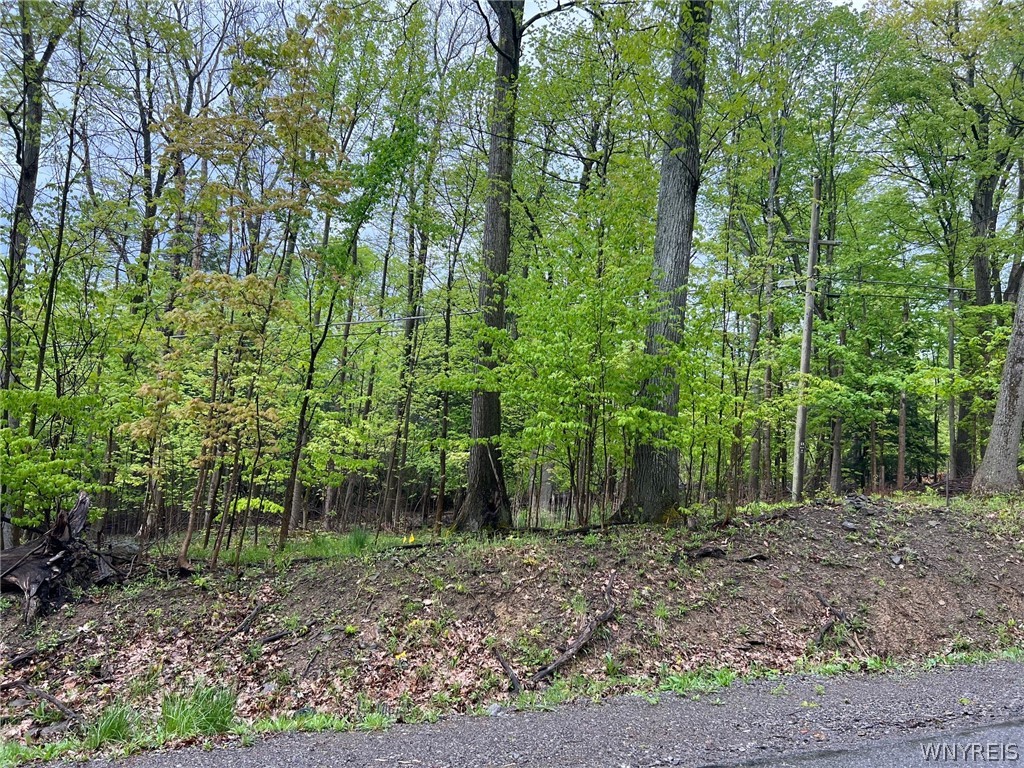 Vl #3 Liebler Road Boston, NY 14025 - Photo 3 of 4