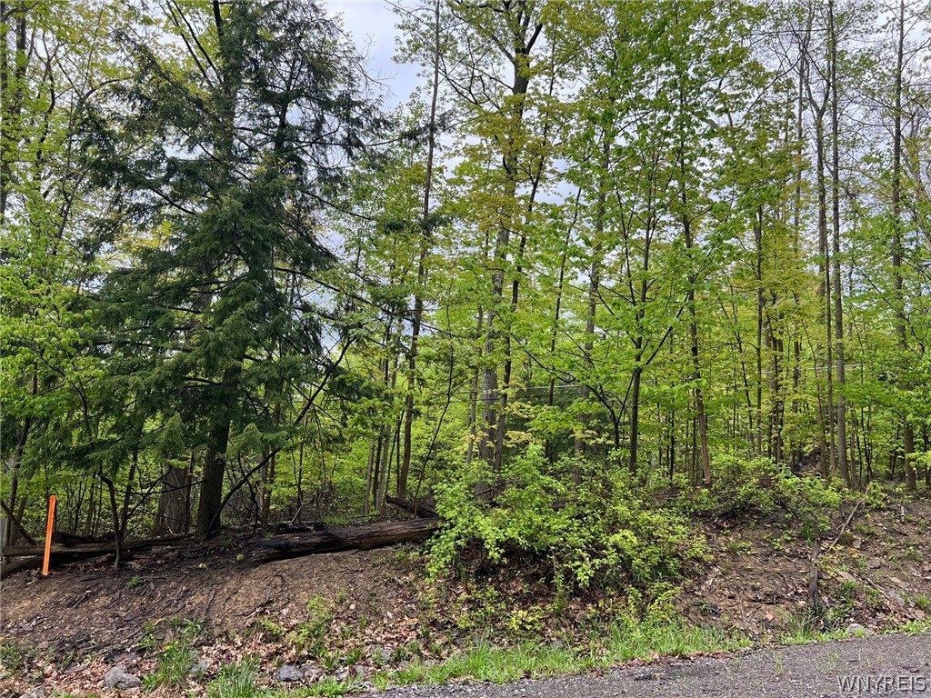 Vl #3 Liebler Road Boston, NY 14025 - Photo 4 of 4
