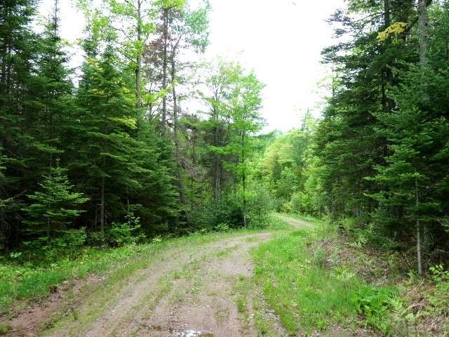 Lot 2 Murphy Lake Road Presque Isle, WI 54557 - Photo 3 of 13 Gallery Image 3