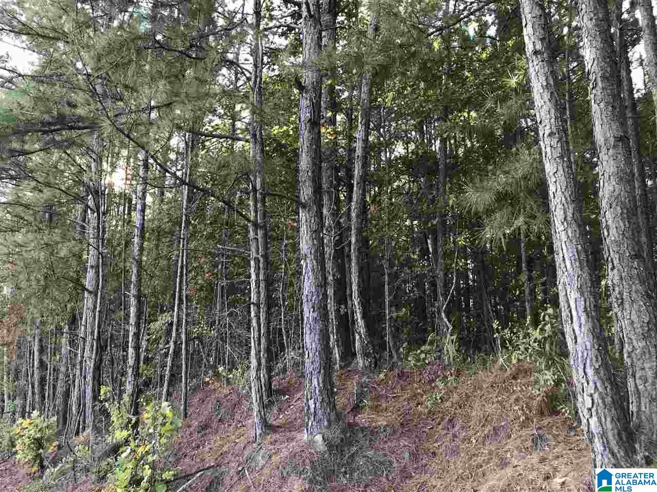 1210 Sardis Road Ashland, AL 36251 - Photo 18 of 19