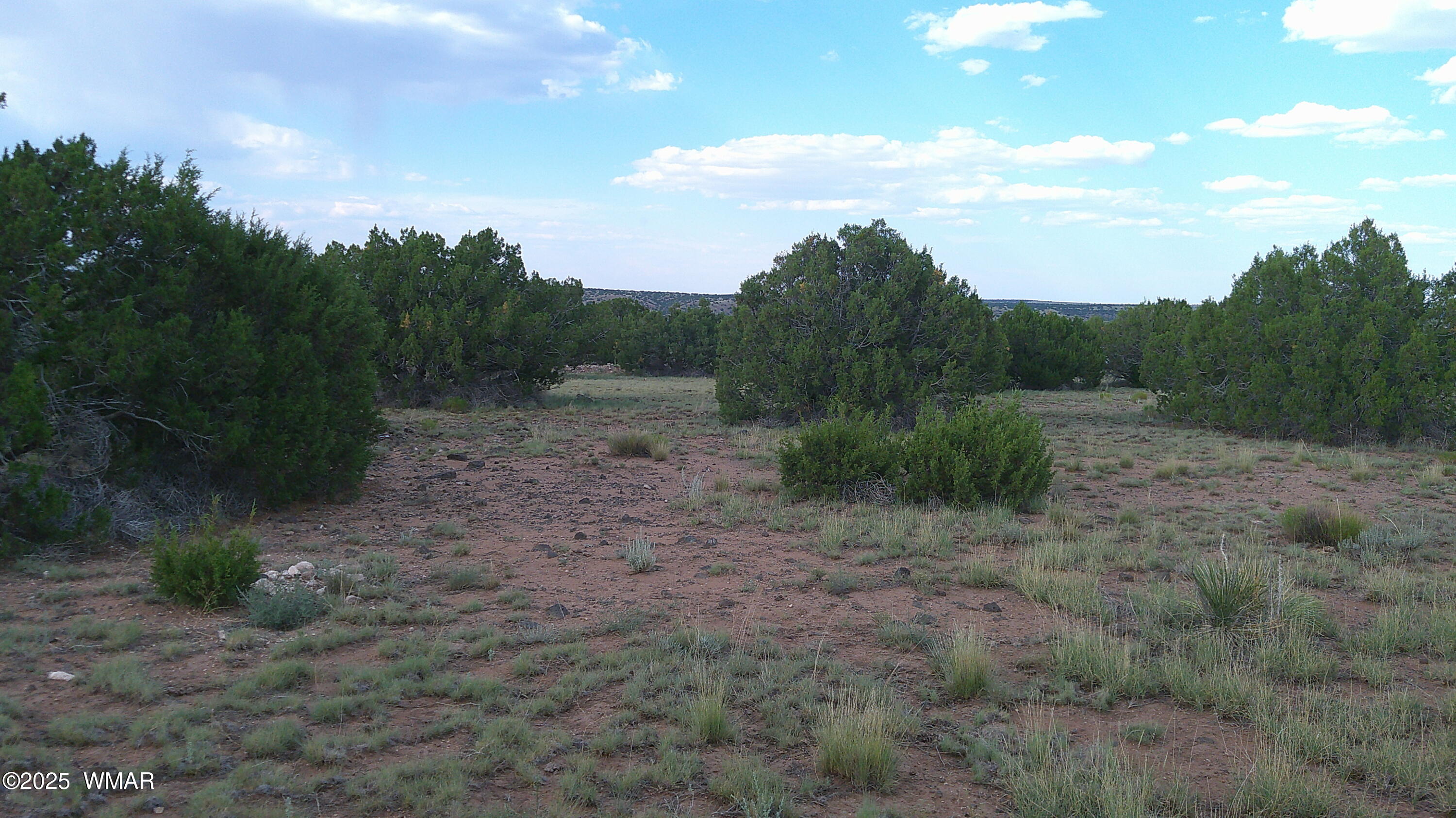 1 Concho Az 85924 Concho, AZ 85924 - Photo 1 of 17 Primary