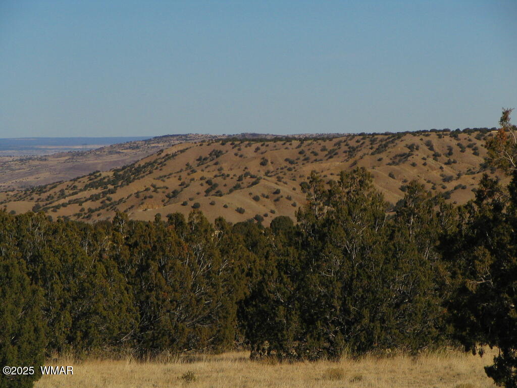 1 Concho Az 85924 Concho, AZ 85924 - Photo 16 of 17 property photo with view 4