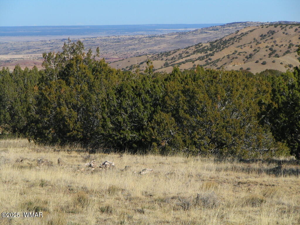 1 Concho Az 85924 Concho, AZ 85924 - Photo 17 of 17 view from the property road