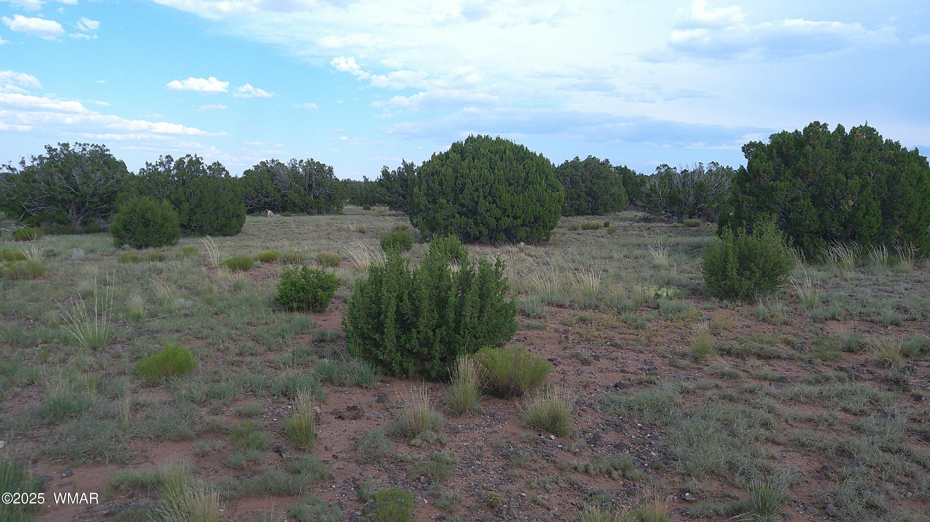 1 Concho Az 85924 Concho, AZ 85924 - Photo 3 of 17 DSCF0053