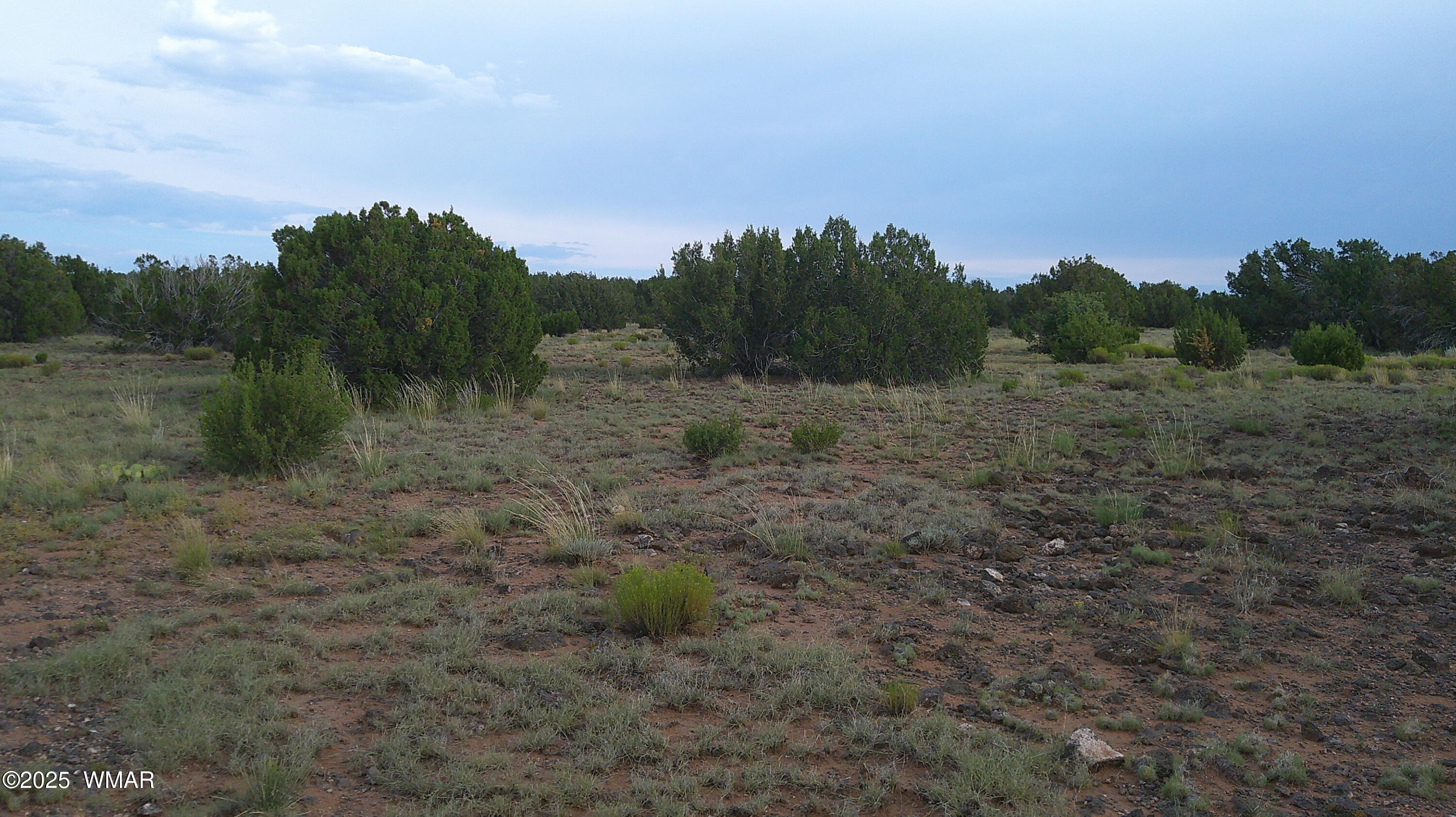 1 Concho Az 85924 Concho, AZ 85924 - Photo 4 of 17 DSCF0054