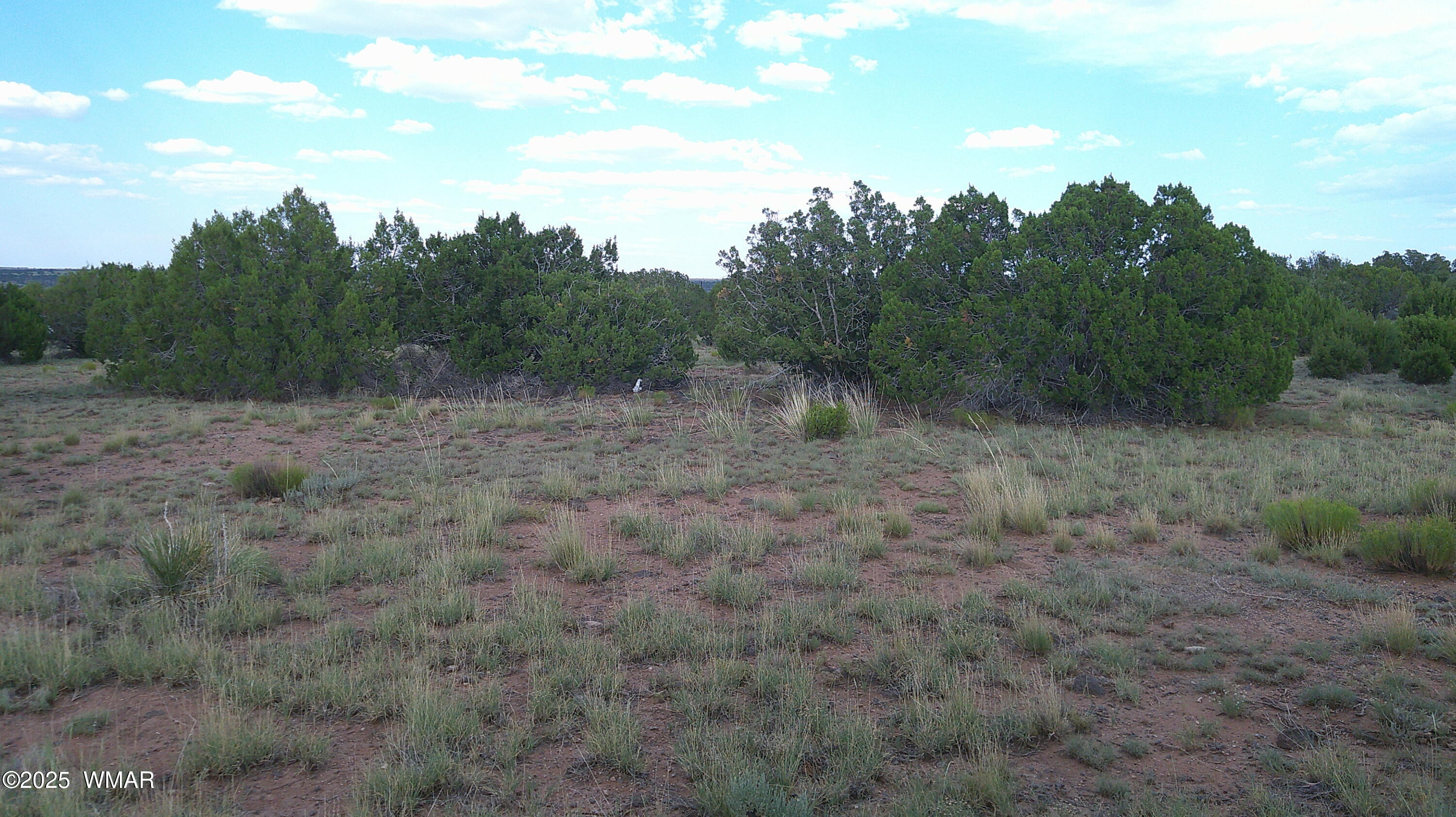 1 Concho Az 85924 Concho, AZ 85924 - Photo 5 of 17 DSCF0055