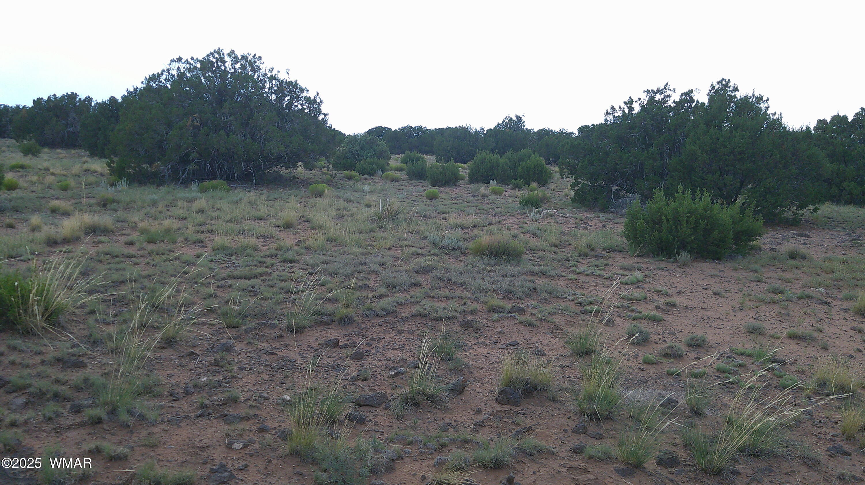 1 Concho Az 85924 Concho, AZ 85924 - Photo 6 of 17 DSCF0057