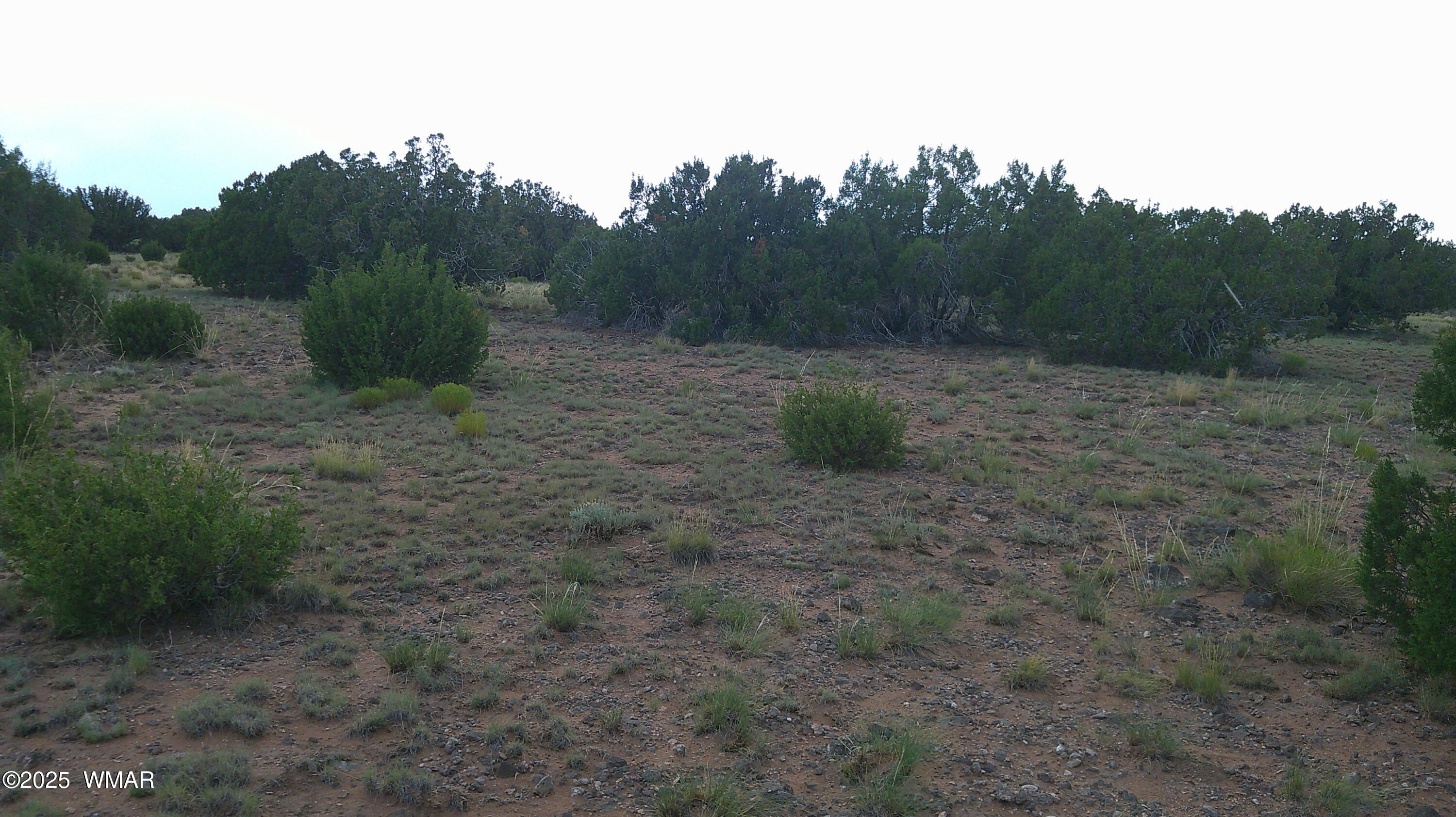 1 Concho Az 85924 Concho, AZ 85924 - Photo 7 of 17 DSCF0058