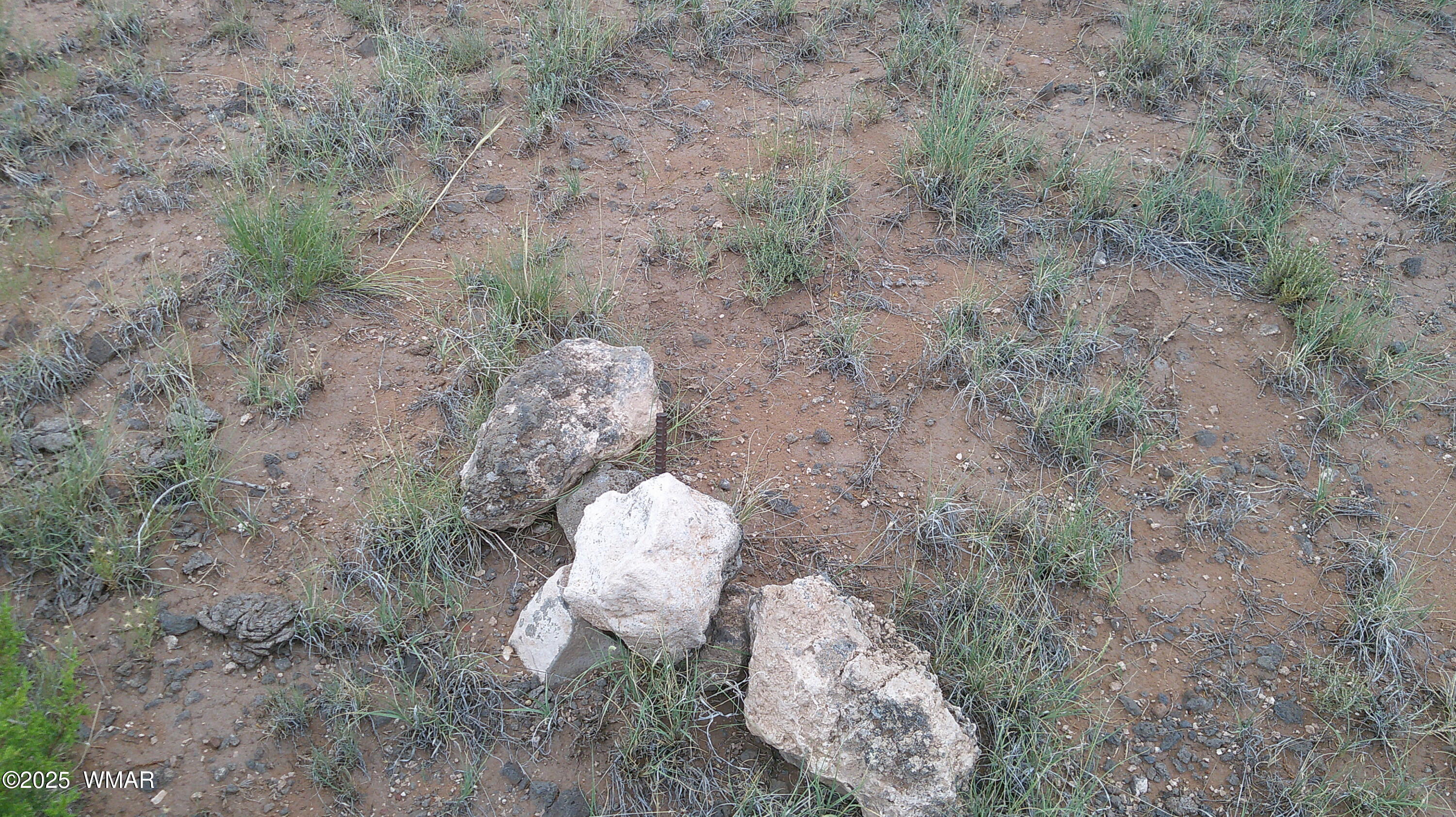 1 Concho Az 85924 Concho, AZ 85924 - Photo 8 of 17 DSCF0059