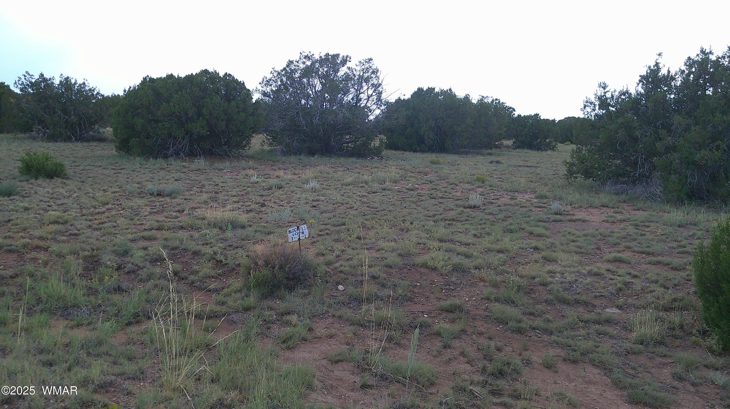 1 Concho Az 85924 Concho, AZ 85924 - Photo 9 of 17 DSCF0060