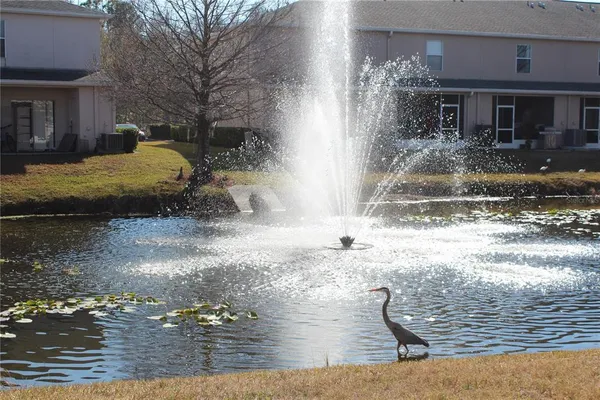 a view of a park with large trees