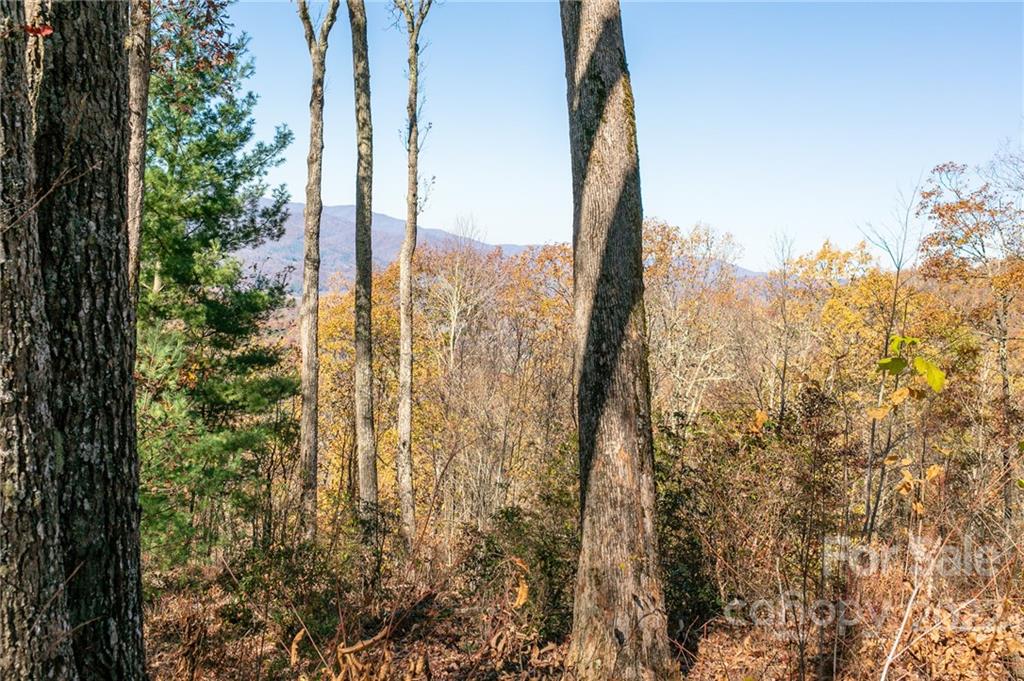 26 Heritage Ridge Road, Unit 26/4 Burnsville, NC 28714 - Photo 5 of 20 Gallery Image 5