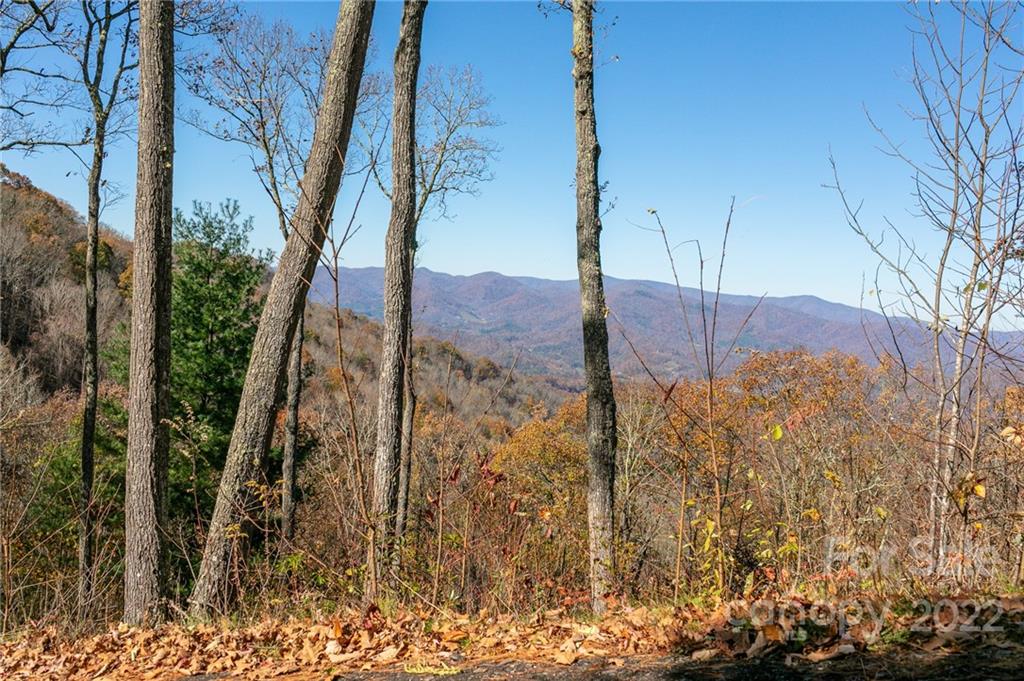 26 Heritage Ridge Road, Unit 26/4 Burnsville, NC 28714 - Photo 9 of 20 Gallery Image 9