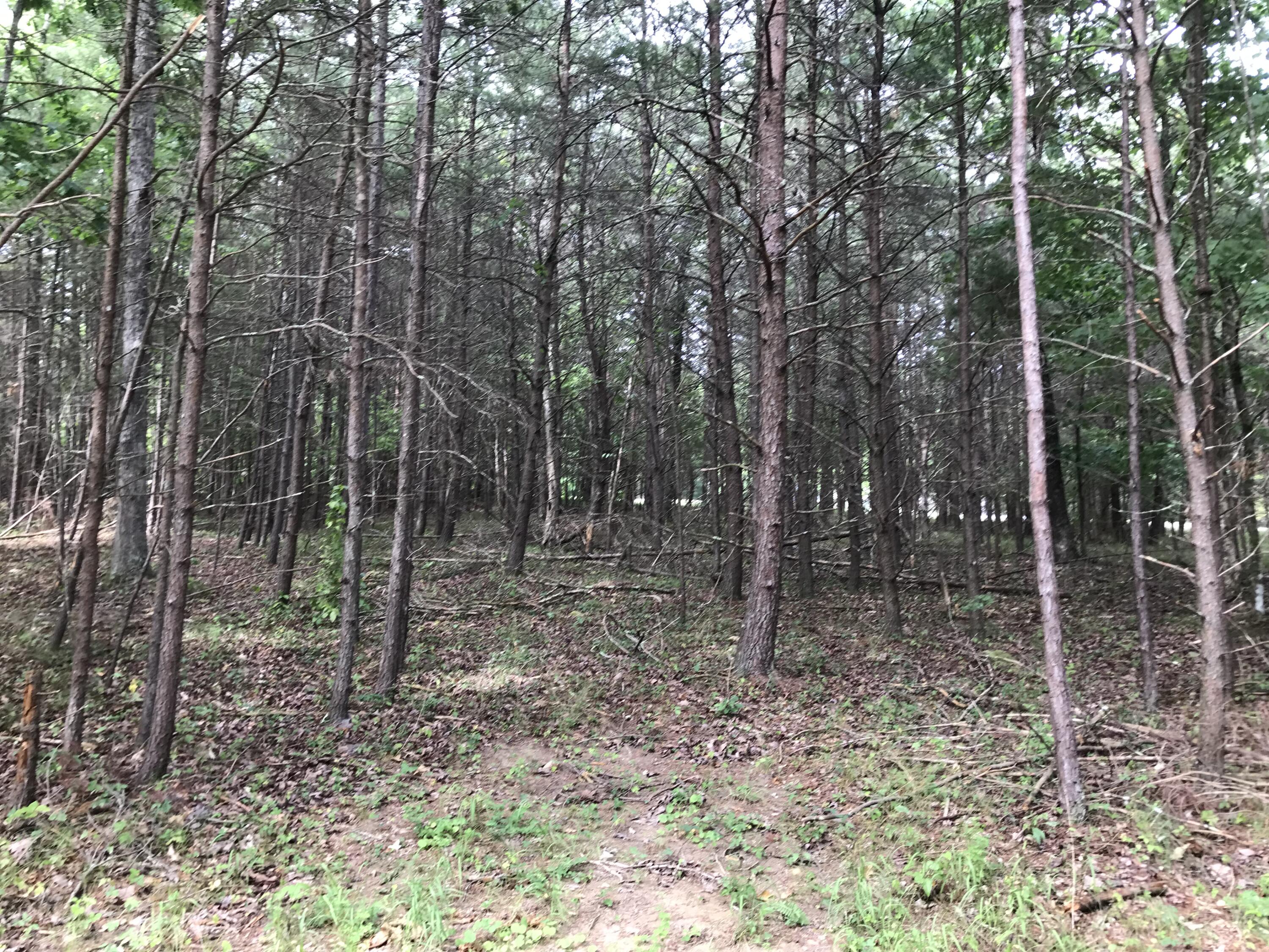 38 Quail Trail, Unit 38 Dunlap, TN 37327 - Photo 11 of 36 IMG_8539