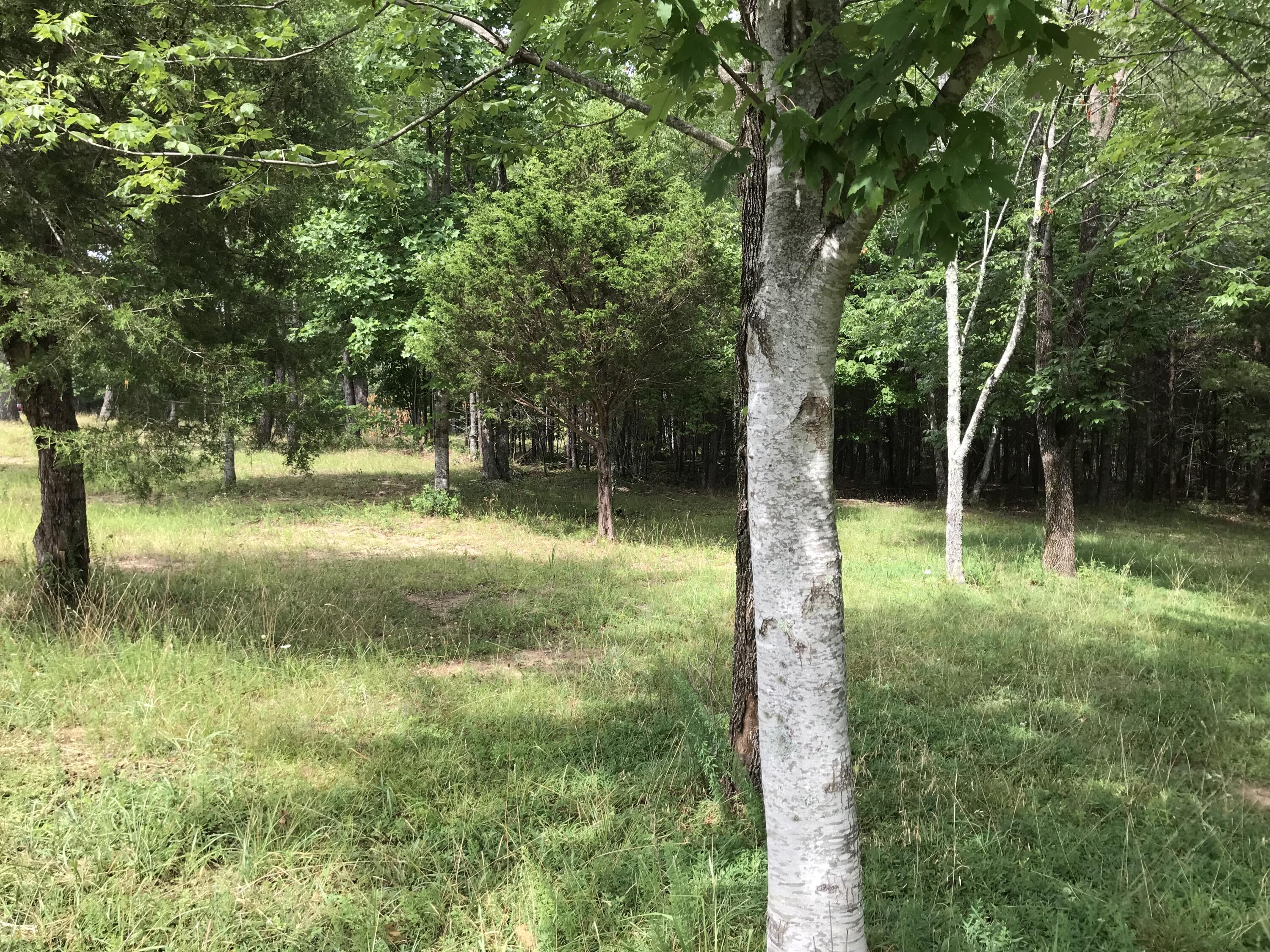 38 Quail Trail, Unit 38 Dunlap, TN 37327 - Photo 13 of 36 IMG_8514