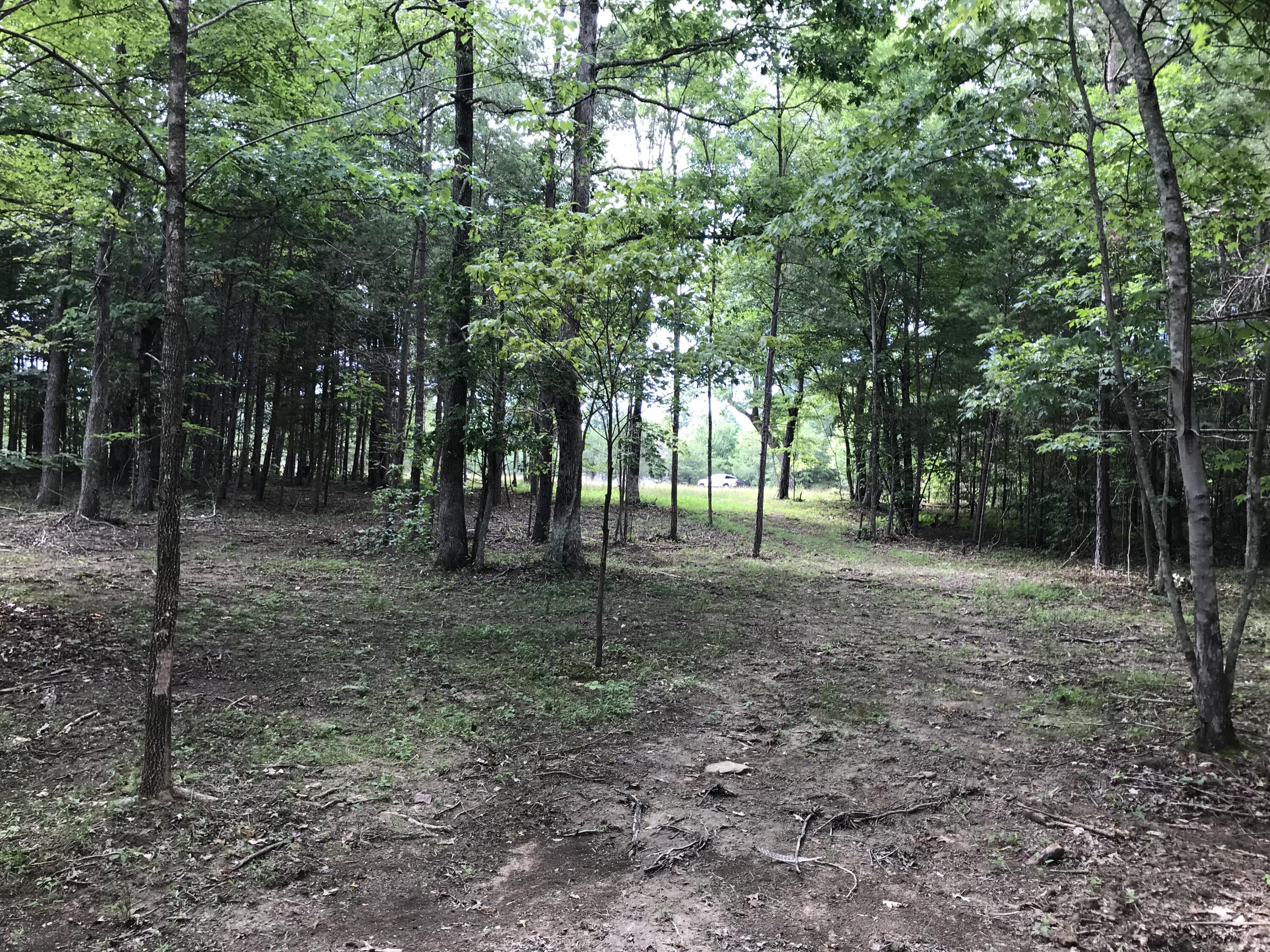 38 Quail Trail, Unit 38 Dunlap, TN 37327 - Photo 15 of 36 IMG_8532