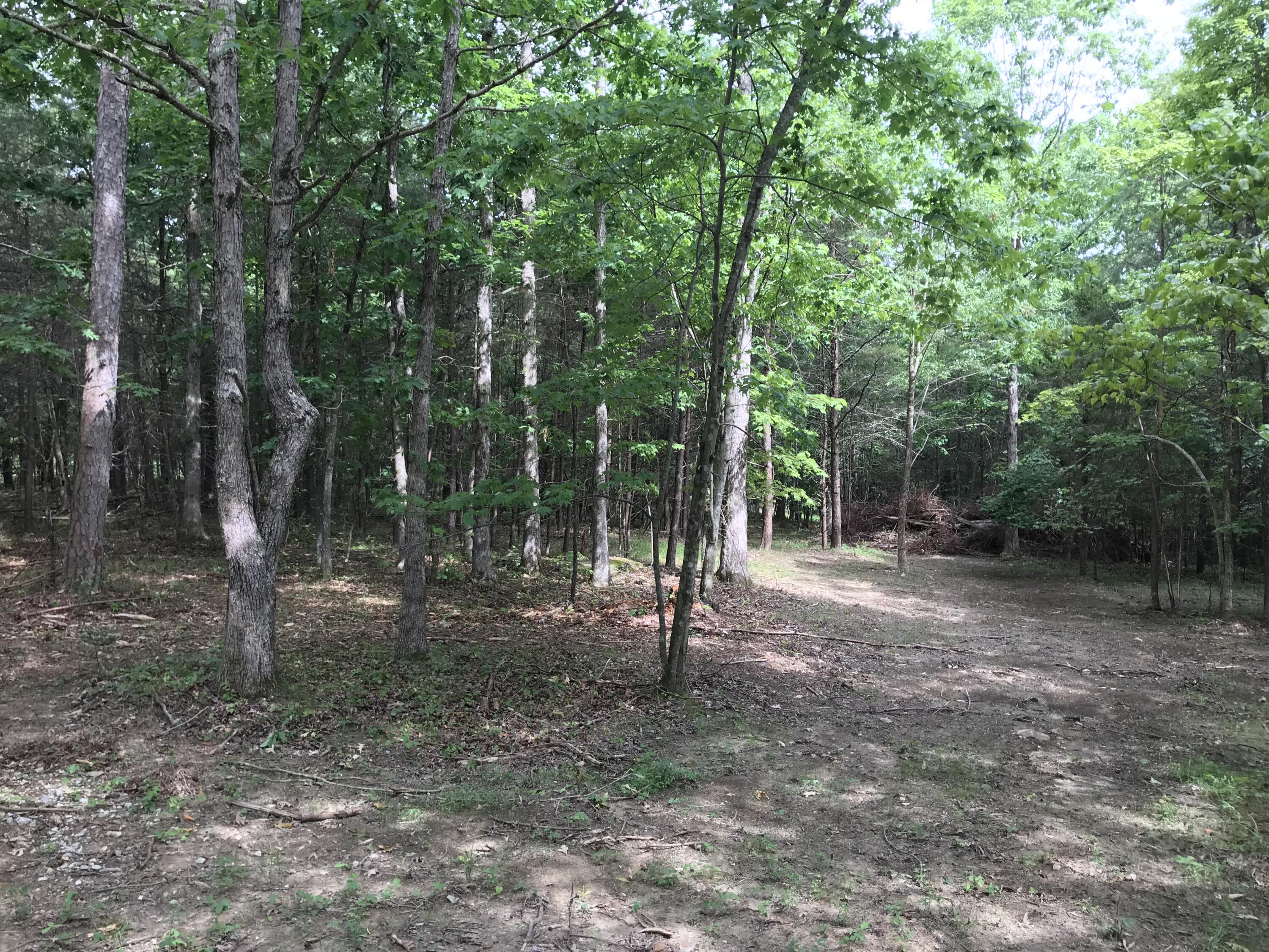 38 Quail Trail, Unit 38 Dunlap, TN 37327 - Photo 18 of 36 IMG_8528