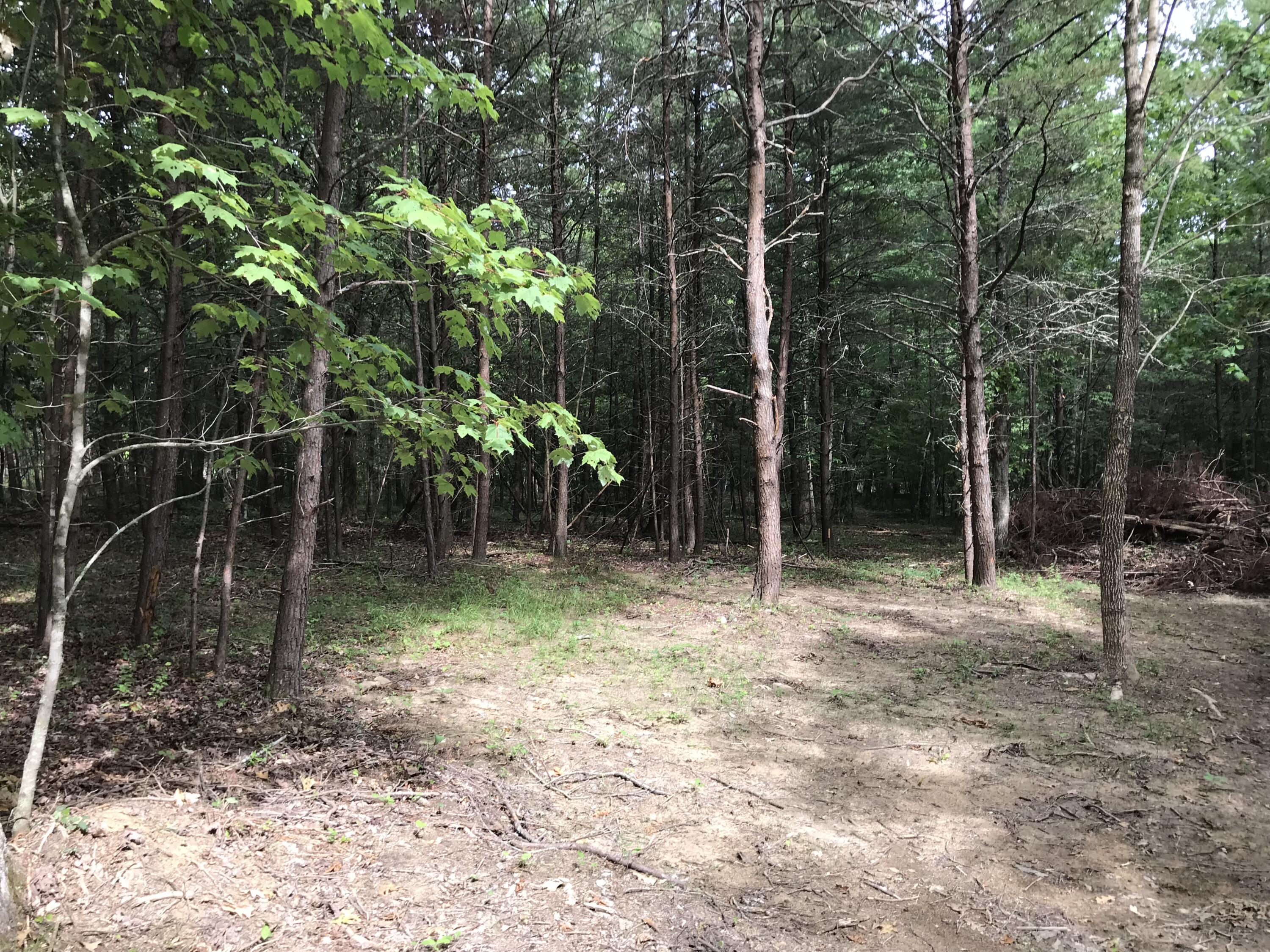 38 Quail Trail, Unit 38 Dunlap, TN 37327 - Photo 19 of 36 IMG_8530