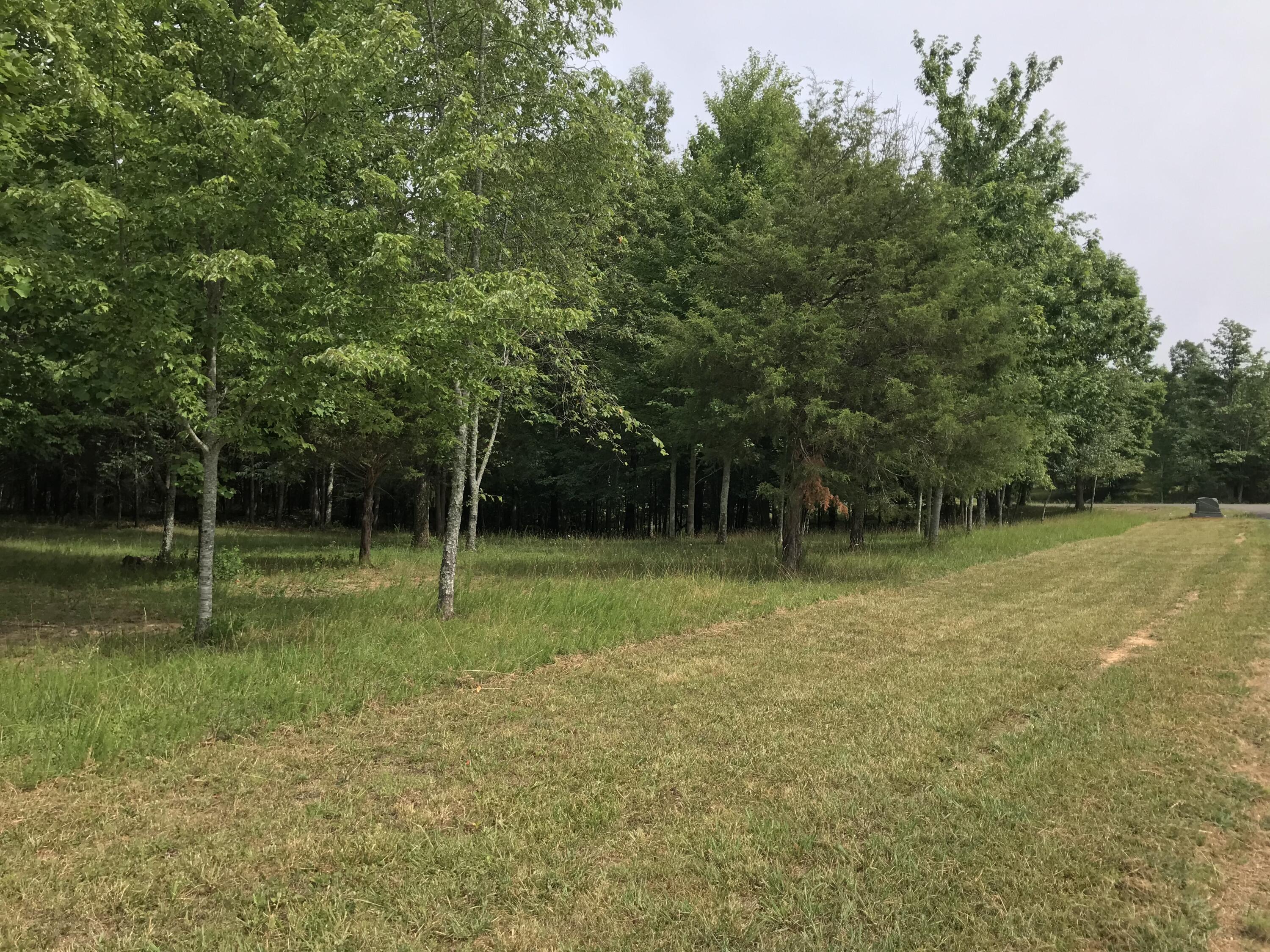 38 Quail Trail, Unit 38 Dunlap, TN 37327 - Photo 21 of 36 IMG_8511