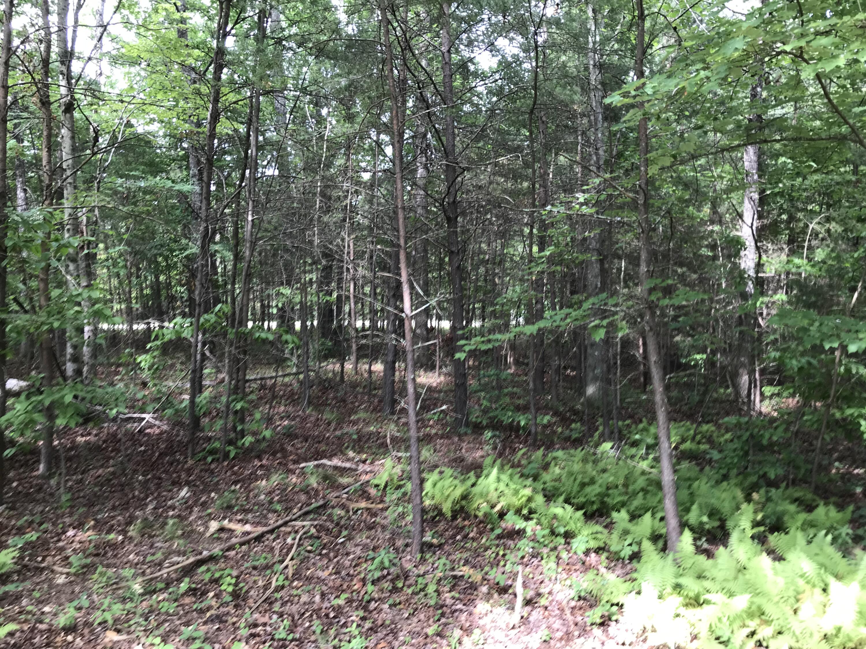 38 Quail Trail, Unit 38 Dunlap, TN 37327 - Photo 23 of 36 IMG_8525