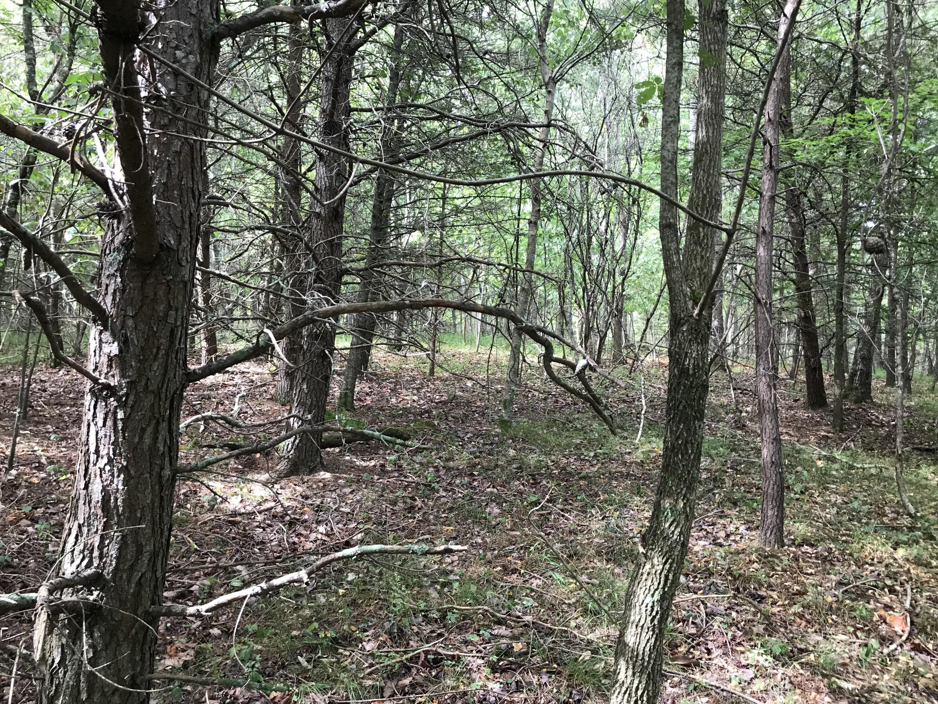 38 Quail Trail, Unit 38 Dunlap, TN 37327 - Photo 29 of 36 IMG_8518