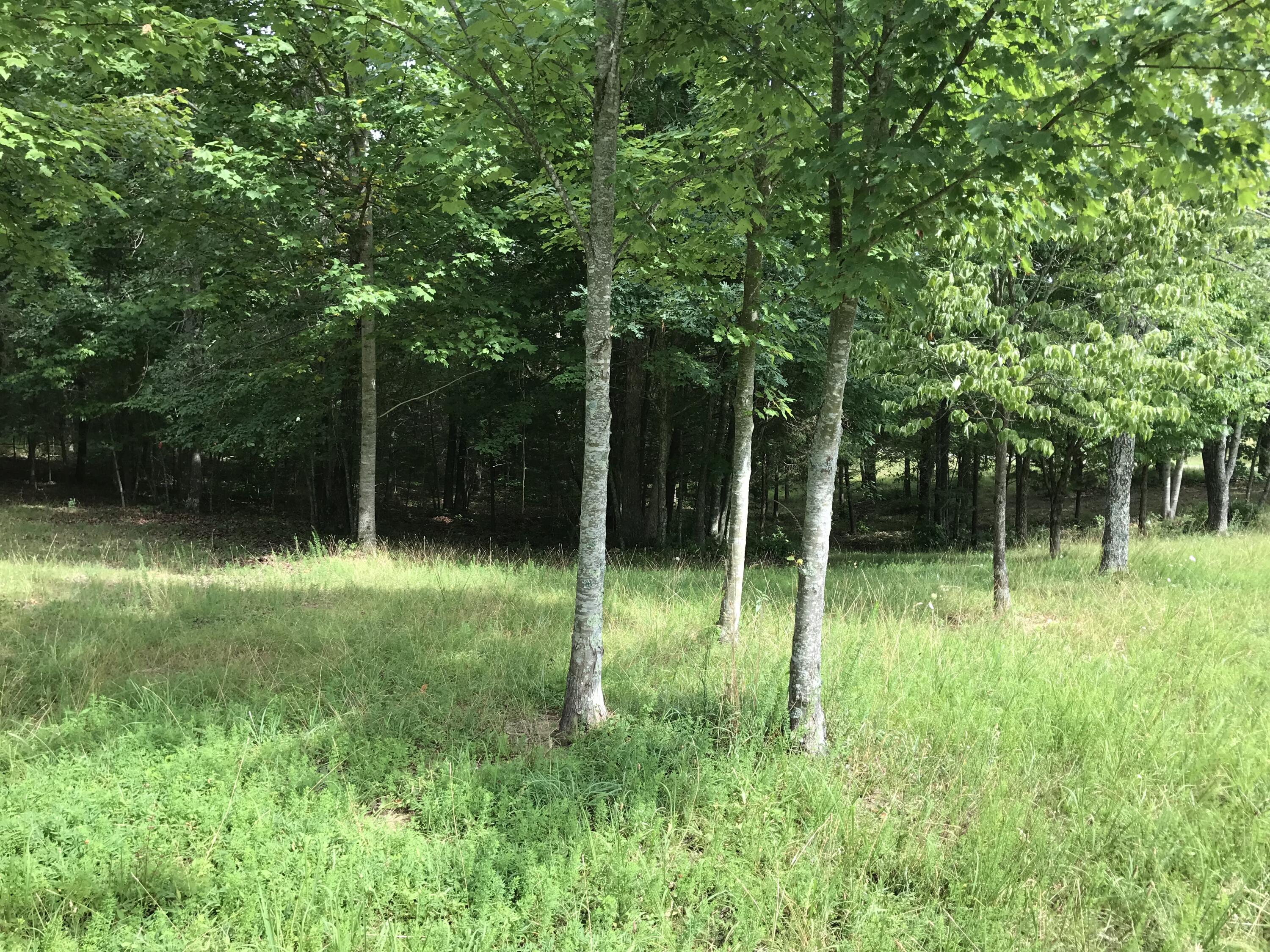 38 Quail Trail, Unit 38 Dunlap, TN 37327 - Photo 33 of 36 IMG_8512