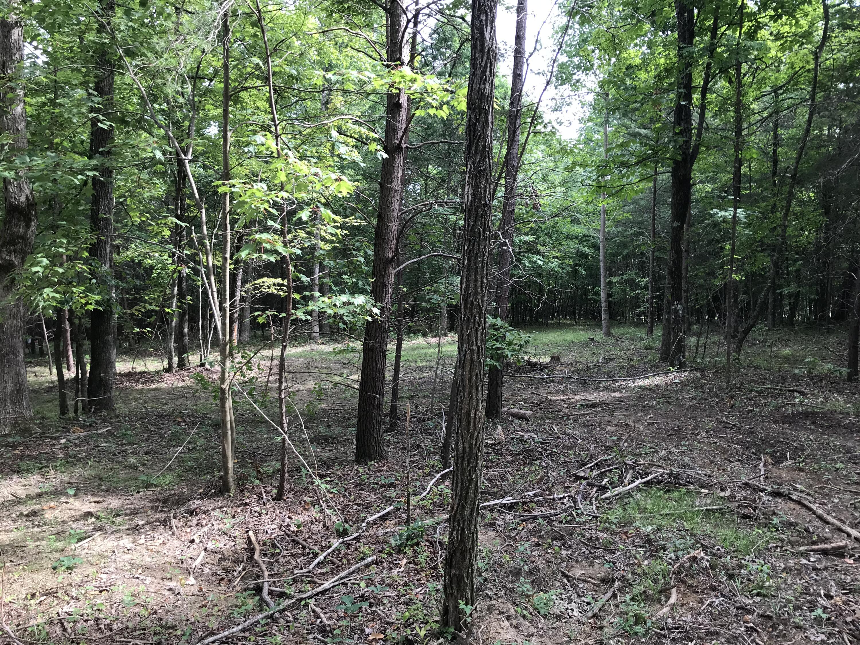 38 Quail Trail, Unit 38 Dunlap, TN 37327 - Photo 4 of 36 IMG_8526